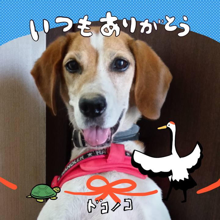 E245e53c 8960 47d8 8787 72d06d2ab6c0 1726833074574