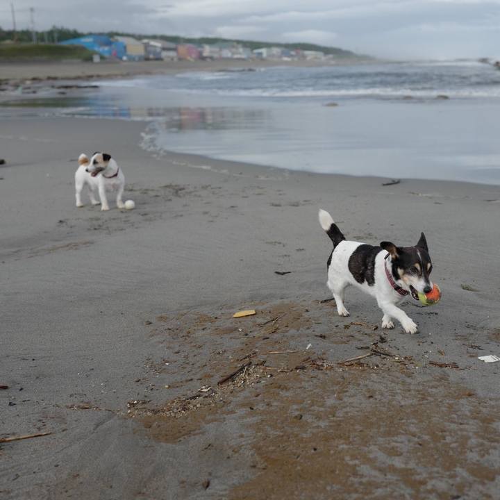 E245e77f 65b1 4063 97bd da9ce0f90fc0 1560745446674