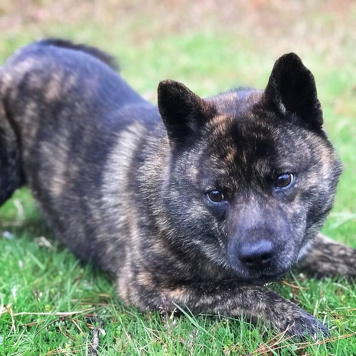 E245e96d 57f8 4376 8b45 f708aaf3108c 1523781724097