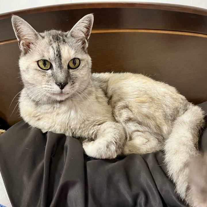 E245f865 6f2e 44cc acc1 381770a99e6f 1722769054528