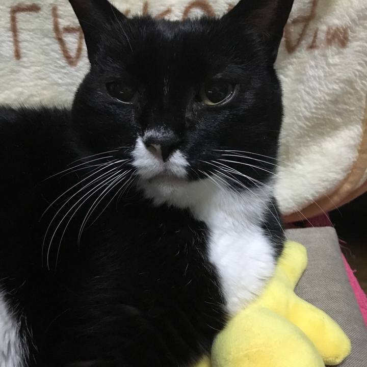 E2465570 f37f 481c 817c 3a71df43616c 1546500179283