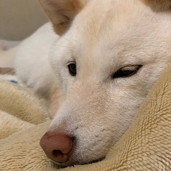 E2467c2c 34ff 4acc a181 09aae4e55dfc 1554550745499