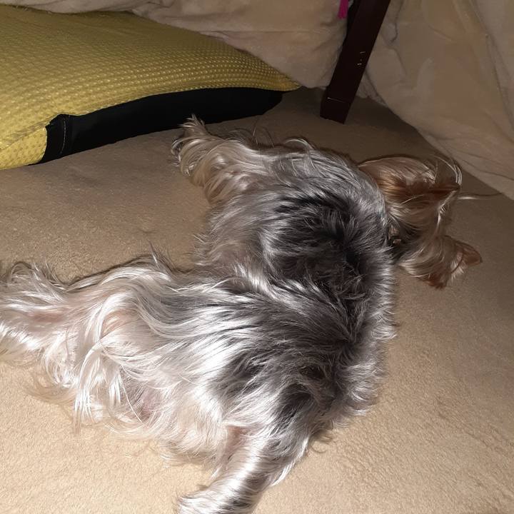 E2467c9e 912a 47dc 86b5 6f065857d9ce 1580384244411