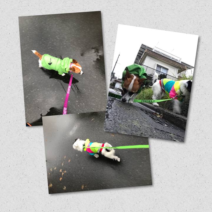 E246a346 5adc 4235 b96e bbe8c83e6b9a 1509262622371