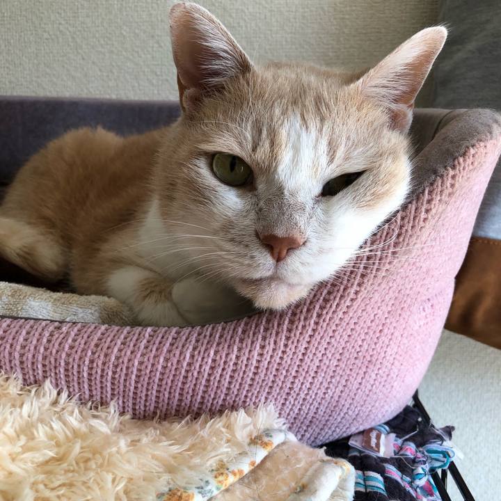 E246c3a2 eca9 454d 845f 0031175c2e75 1630803318465