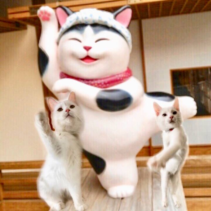 E246d689 399c 4613 a30e 557bec8aead4 1569764768305