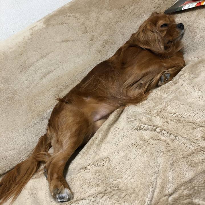 E246e5ea 0842 40b5 9560 954e17a90405 1585147018785