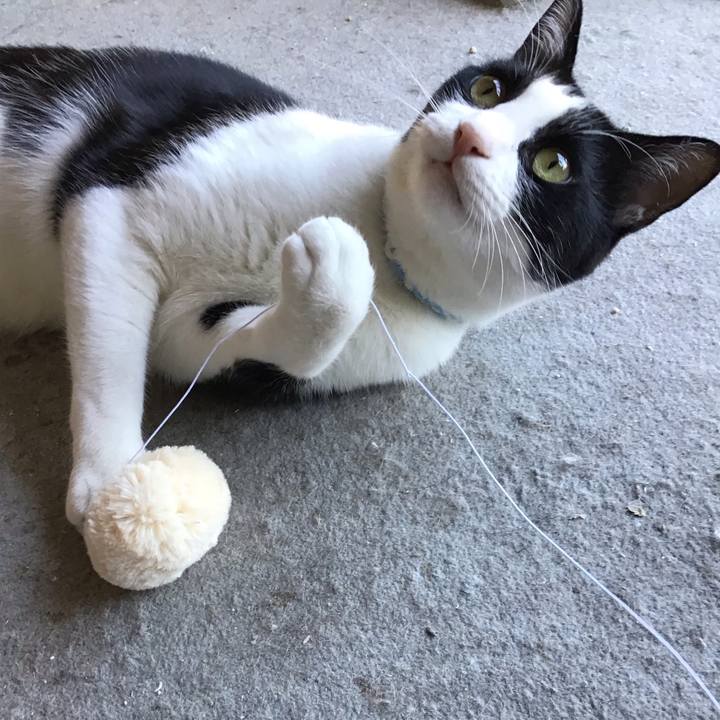 E246ef46 13b1 4e6b b46e f6563510b421 1687009593276