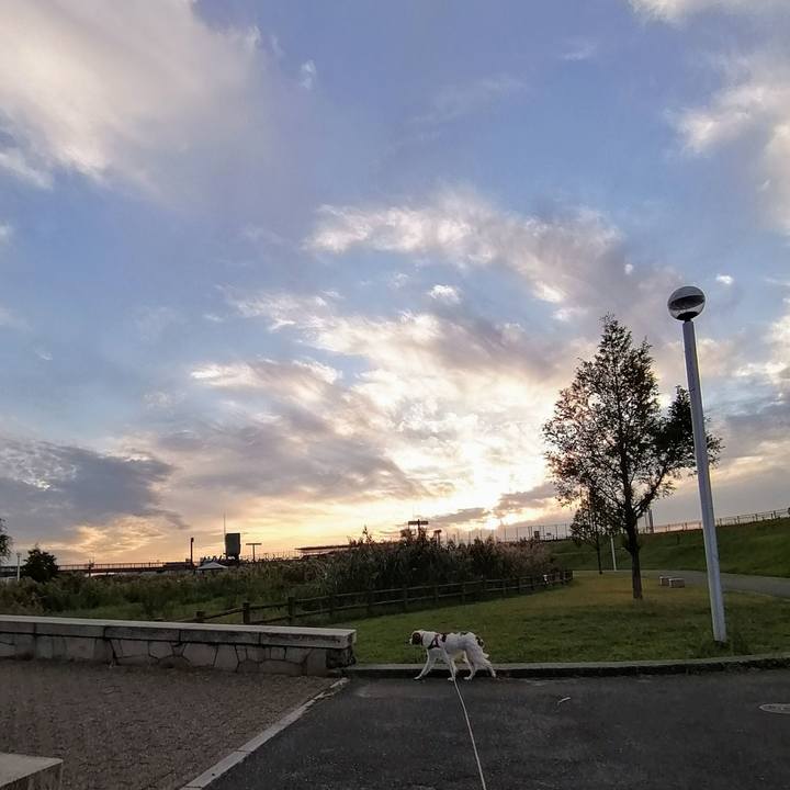 E246f273 55bf 45ec a42e 7e62a46254f8 1634643290573