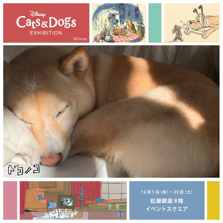 E2471561 76b9 46c7 aeb3 86afc85edf60 1638415113648