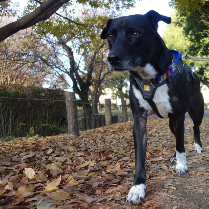 E247246b e34f 4491 a8dd 4ba8c68da729 1639184027319