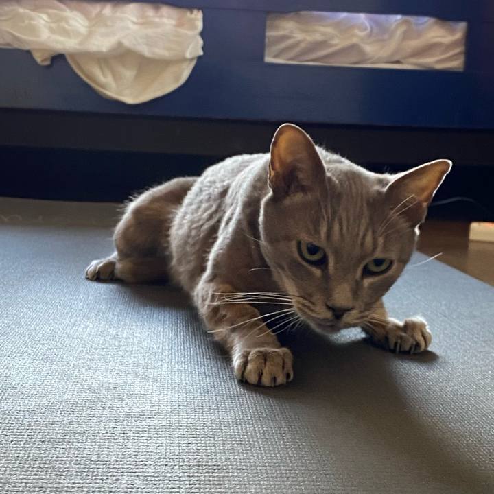 E2472ae2 cce9 4fef a96d 5c2b97c7645c 1643548344972