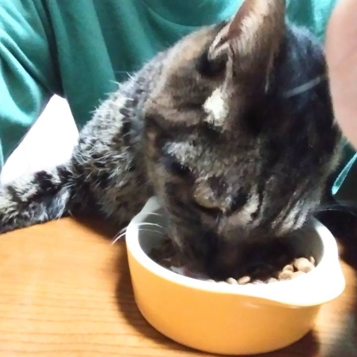 E2475ff5 789b 4240 946b 3e6d1a598de8 1621414311101