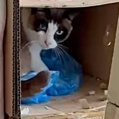 E2477143 e405 4514 8c54 83005c926051 1745149414802