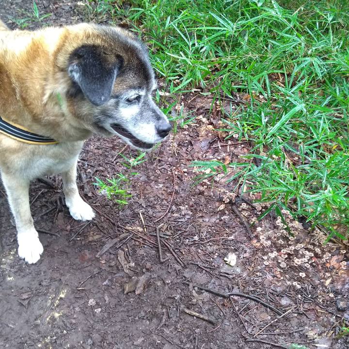 E2478d54 7143 4e6c b575 566fa793fd6c 1563841239887