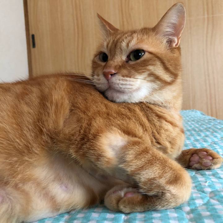 E247a4f5 c59b 49d1 989d 594ef7c82f2c 1656722226994