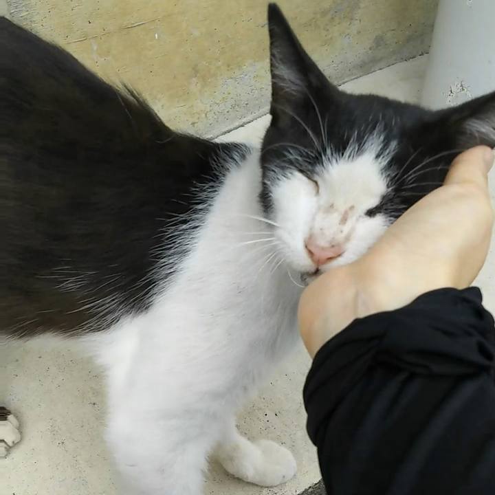 E247c1e3 2837 4689 a9d3 a85dbfb680c9 1532005819306