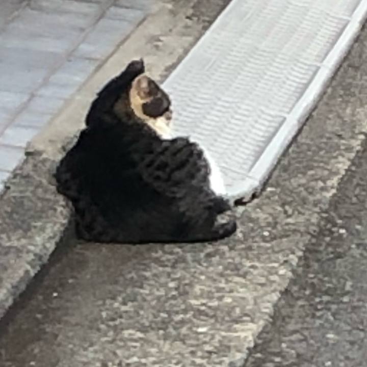 E247cae7 9f66 42ab 9d93 7f4dacb12667 1552389888918