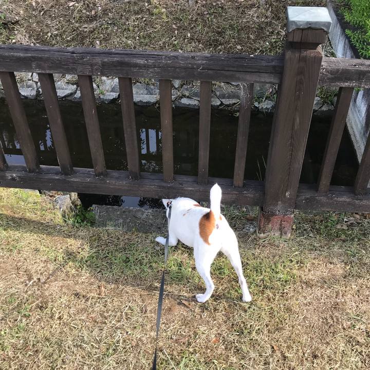 E247eb85 41f3 4cb0 bff5 f89b3543e291 1526089409620