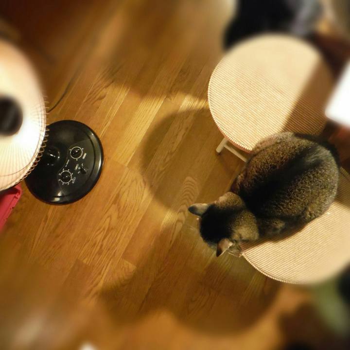 E247ec0b fecc 4bc2 89a0 d227f16f14bb 1514270110766