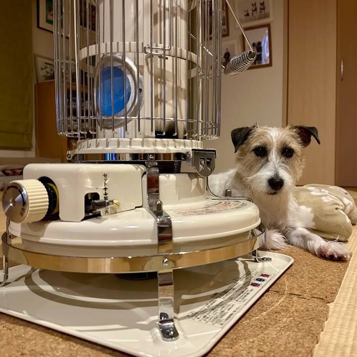 E2480d54 ca73 4cb7 9ee4 14ee9e25141e 1737804716130