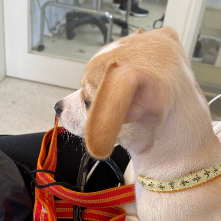 E24837a1 94d3 4835 9a62 a36070e37d40 1662695234916