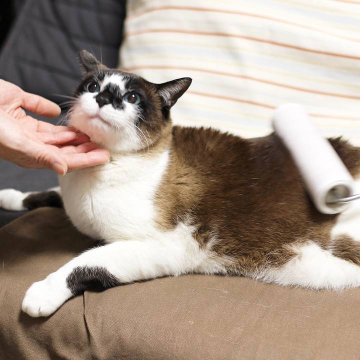 E248794a c2e8 49a6 bc9e 6c71693b2b0b 1520464968502