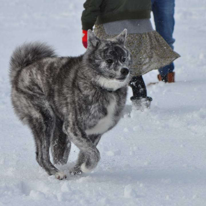 E24881f2 64af 4523 a949 b51cce7caf9d 1578061552142