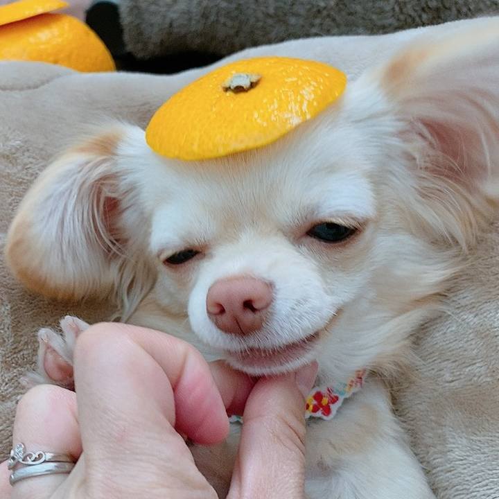 E2488311 e86e 4295 b9ae b1ebb6a0c2d3 1613428366466