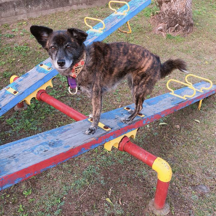 E2488b3a e585 4b65 9d13 0b3c331dcd7b 1604059776770