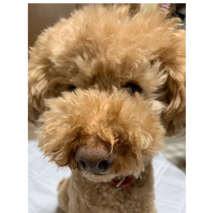 E248977f e92b 4eae 82e6 75e932f48be2 1557607686957