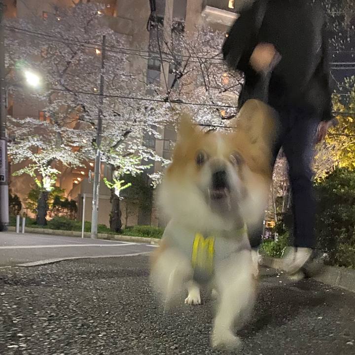 E248ac44 6bf4 4bdf ae6c cda77993f88e 1744110304563