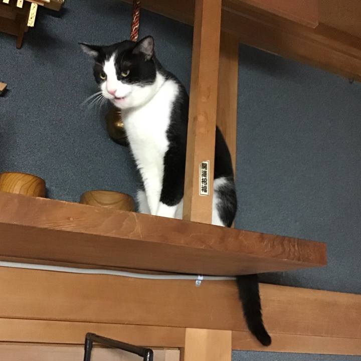 E248c7b2 1597 4777 8cb6 0c806c9e57ab 1757841104044