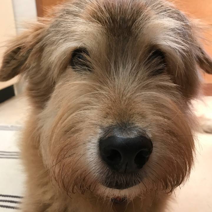 E248dd2f 6256 445d 95a0 7e9c07a4dcd1 1604973043716