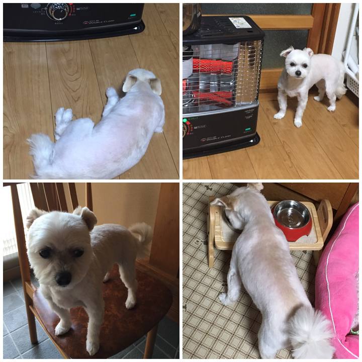 E248e7fa 60b8 4b22 a3f4 1464d00ad982 1554708737633