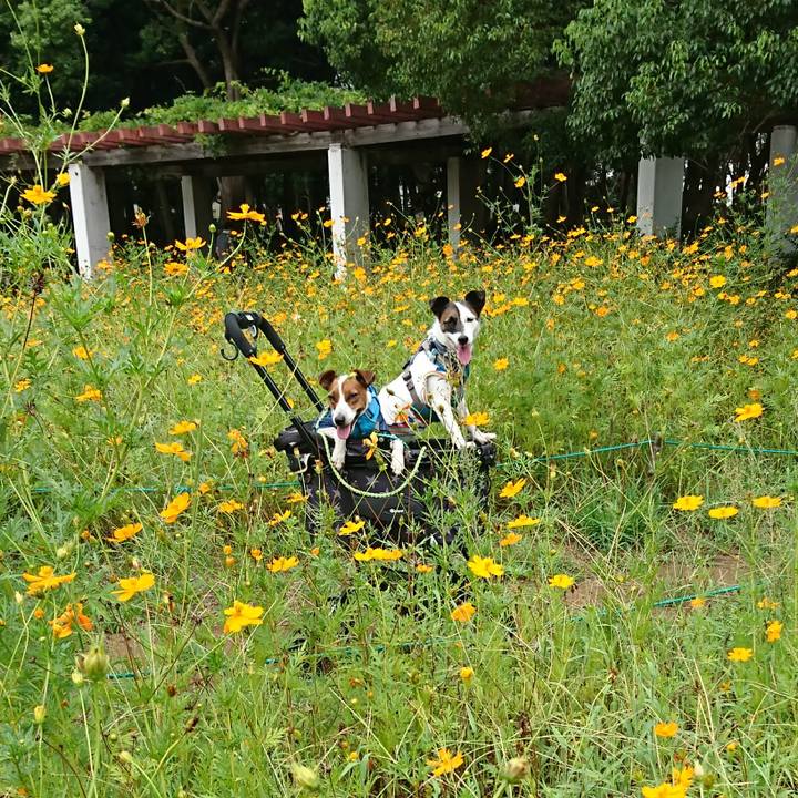 E248ecb1 21f8 4a89 93ab 12deb7d3f96f 1600002008996