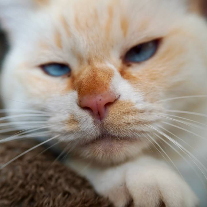 E2490771 3237 44a2 bf31 c34e3ea97aca 1764481755680