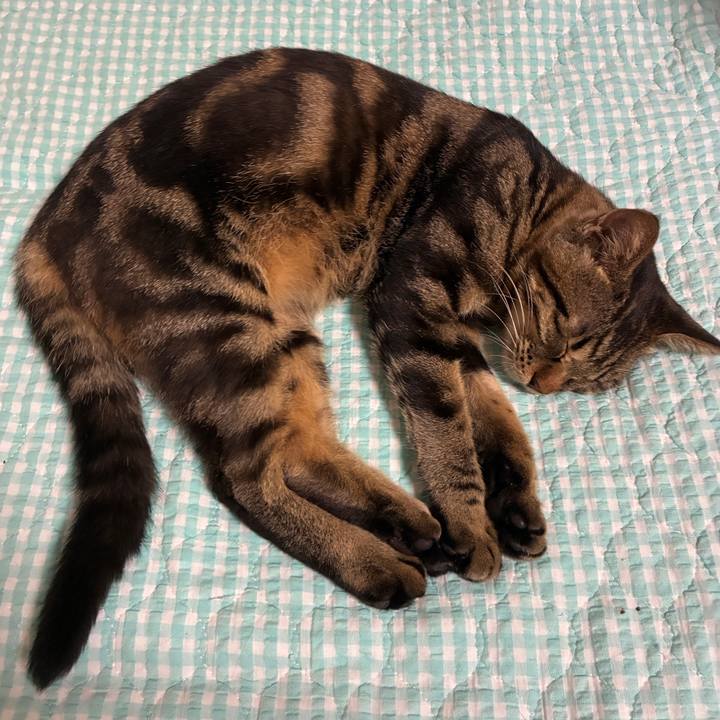 E24922f9 b6d2 4c43 b2c2 430468593fbb 1754673293395