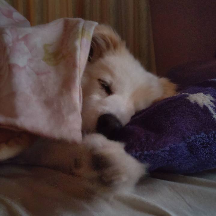 E24989a1 3a2b 4c4d a7ae b86a1f1ddb0d 1650315337282