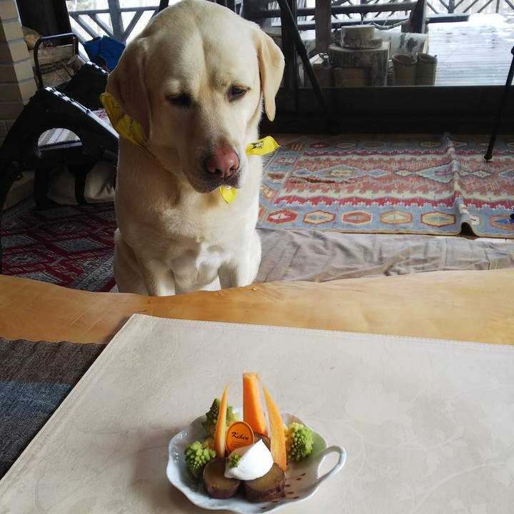 E2499459 680b 4ed5 a7e4 ff17309ba7d5 1549854096521