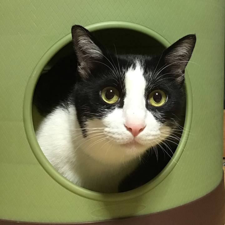 E249a666 43a4 4c6c aaf3 6d08324b056f 1687355894854