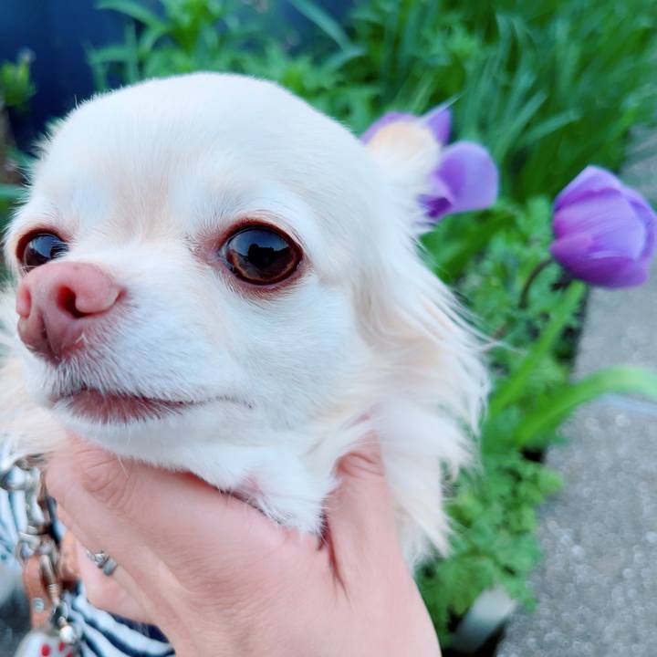 E249e0c9 8c99 4b97 b7c0 24ef2a6e1524 1712744566830