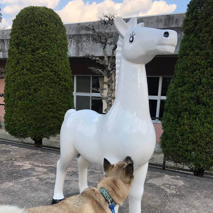 E24a2e9b 3205 4f97 aaa4 79c69b95a41e 1553329058471