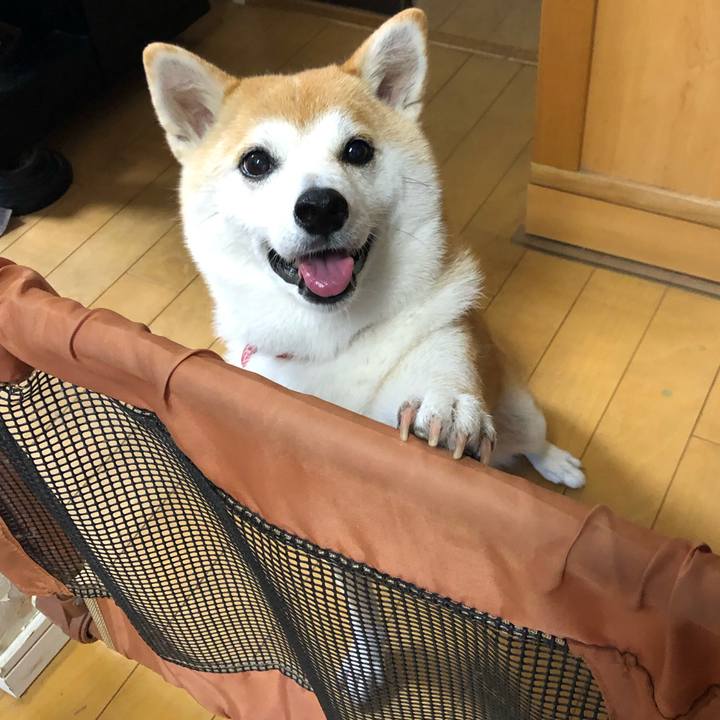 E24a4dc4 98a7 4259 af66 4bc2cbcfe178 1598145178550