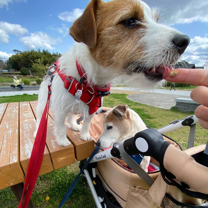 E24a5c93 2fe4 40c4 9531 47472b571b46 1647840079174