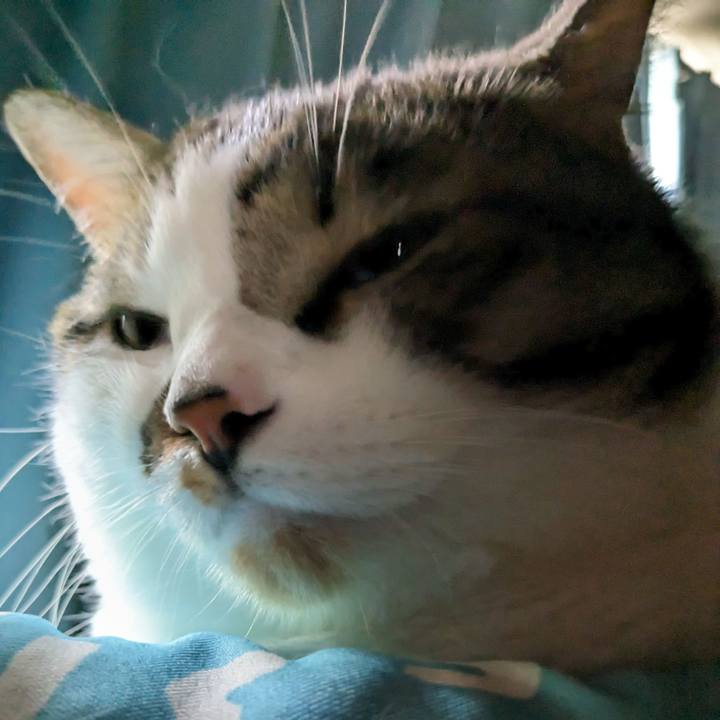 E24a6734 ac9b 43f8 9983 d5c695ca5a16 1694898447152