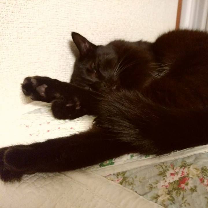 E24a6a7b 6129 4e55 b162 7a2546c9ab5d 1599308415056