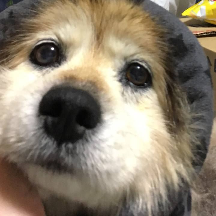 E24a7ab4 3171 42f2 8b9f 3e8e6f1f5d20 1616038564199