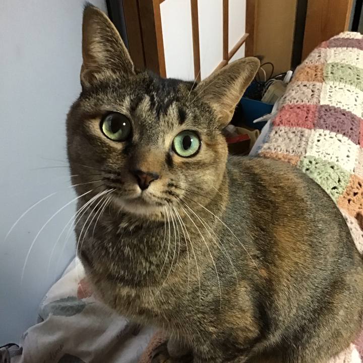 E24a81ad d0dd 42a1 b6bd 509c7d3e915f 1637565734587