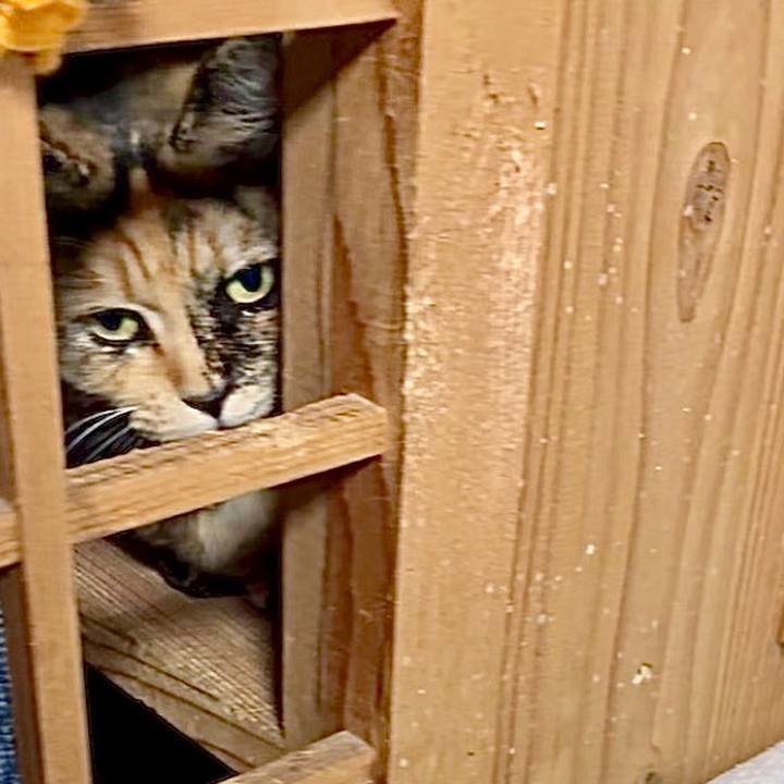 E24a884e d9b5 4c4e b932 facae0402fa5 1767583877911